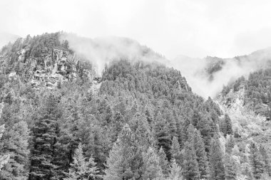 Mittersill Avusturalya Alplerinde