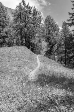 Mittersill Avusturalya Alplerinde