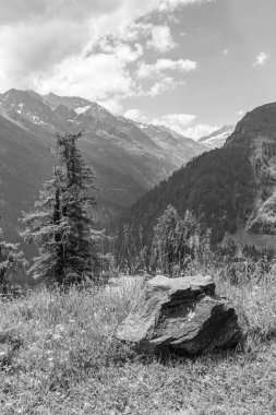 Mittersill Avusturalya Alplerinde