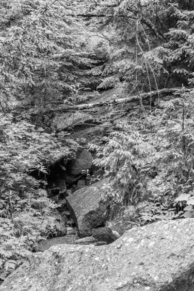 Mittersill Avusturalya Alplerinde