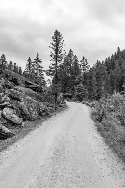 Mittersill Avusturalya Alplerinde