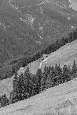 Mittersill Avusturalya Alplerinde