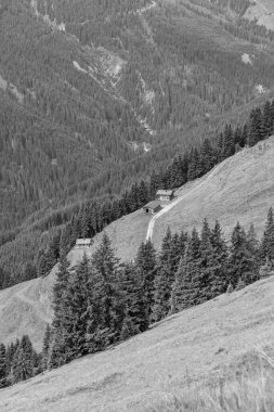 Mittersill Avusturalya Alplerinde