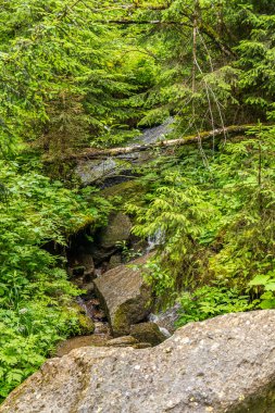 Mittersill Avusturalya Alplerinde