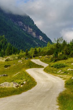 Mittersill Avusturalya Alplerinde