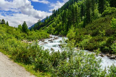 Mittersill Avusturalya Alplerinde