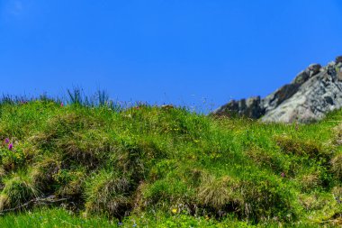 Mittersill Avusturalya Alplerinde