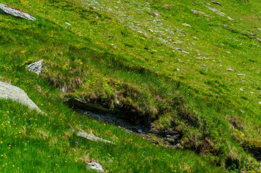 Mittersill Avusturalya Alplerinde