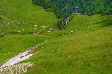 Mittersill Avusturalya Alplerinde