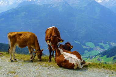 Mittersill Avusturalya Alplerinde