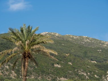 Yeşilli Korfu adası