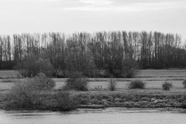 Nijmegen Wal Nehri 'nde