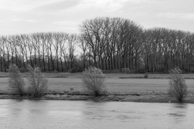 Hollanda 'daki Nijmegen şehri.