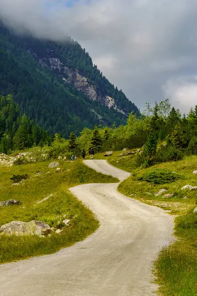 Mittersill Avusturalya Alplerinde