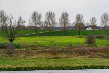 Hollanda 'daki Nijmegen şehri.