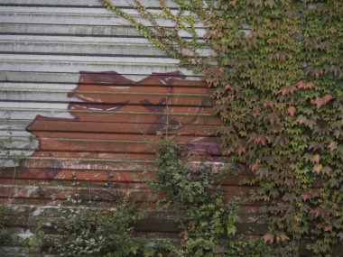 Almanya 'daki Wolfsburg şehri.