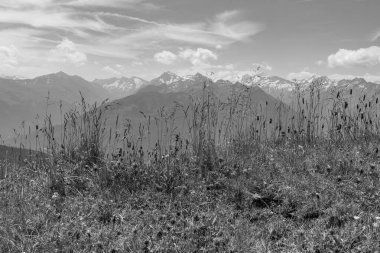 Mittersill Avusturalya Alplerinde