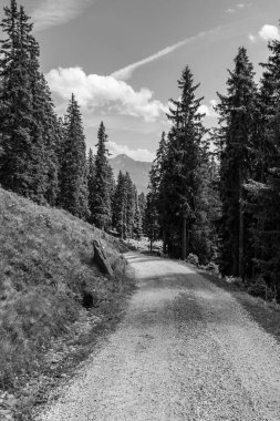 Mittersill Avusturalya Alplerinde