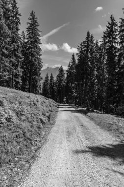 Mittersill Avusturalya Alplerinde