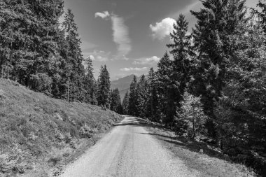 Mittersill Avusturalya Alplerinde