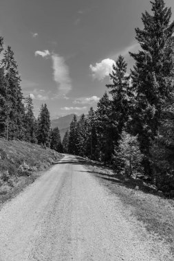 Mittersill Avusturalya Alplerinde