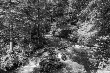 Mittersill Avusturalya Alplerinde