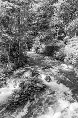 Mittersill Avusturalya Alplerinde