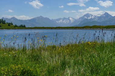 Mittersill Avusturalya Alplerinde