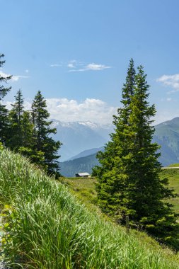 Mittersill Avusturalya Alplerinde