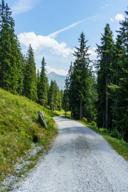 Mittersill Avusturalya Alplerinde