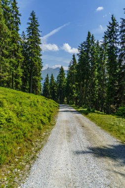 Mittersill Avusturalya Alplerinde