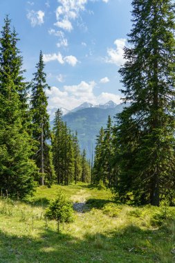 Mittersill Avusturalya Alplerinde