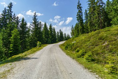 Mittersill Avusturalya Alplerinde