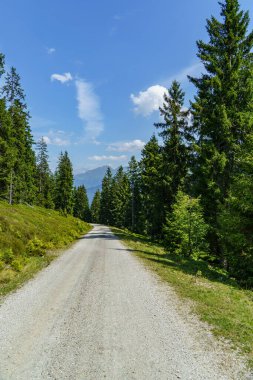 Mittersill Avusturalya Alplerinde