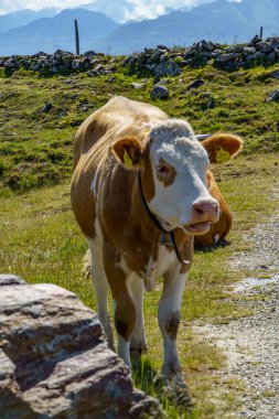 Mittersill Avusturalya Alplerinde