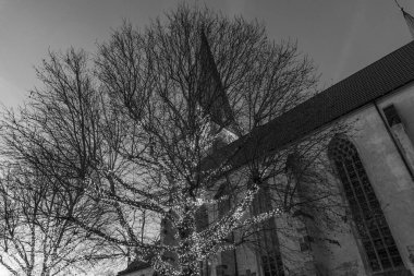 Borken Westphalia 'da Noel zamanı