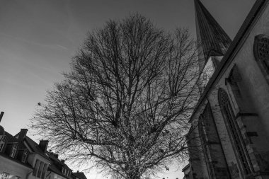 Borken Westphalia 'da Noel zamanı