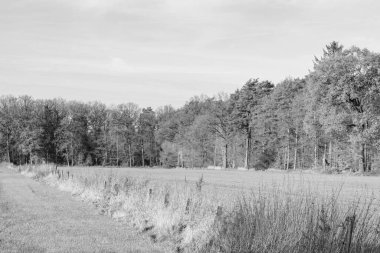 Alman Muensterland 'inde sonbahar yürüyüşü