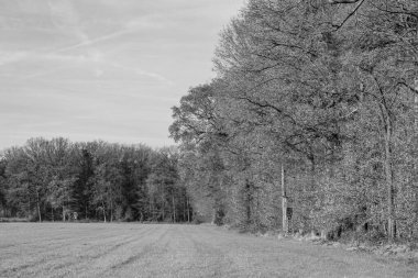Alman Muensterland 'inde sonbahar yürüyüşü