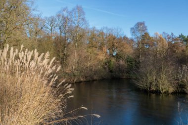 Alman Muensterland 'inde sonbahar yürüyüşü