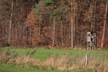 Alman Muensterland 'inde sonbahar yürüyüşü
