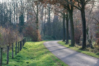 Alman Muensterland 'inde sonbahar yürüyüşü