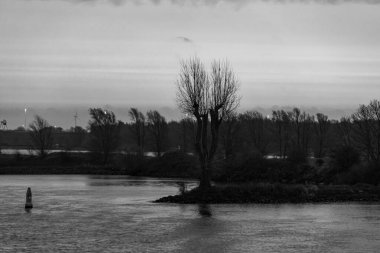 Pırasa nehri ve Rotterdam şehri.