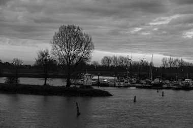 Pırasa nehri ve Rotterdam şehri.