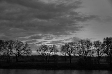 Pırasa nehri ve Rotterdam şehri.