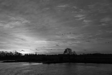Pırasa nehri ve Rotterdam şehri.