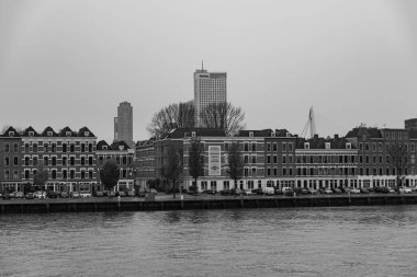 Hollanda 'nın Rotterdam kenti.
