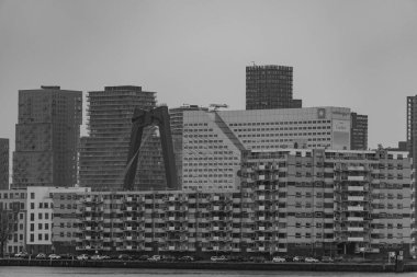 Hollanda 'nın Rotterdam kenti.