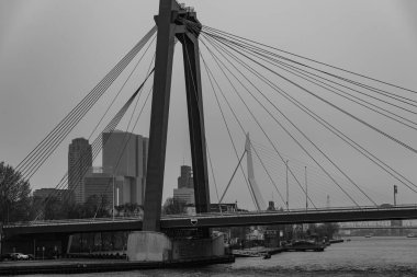 Hollanda 'nın Rotterdam kenti.