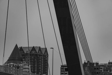 Hollanda 'nın Rotterdam kenti.